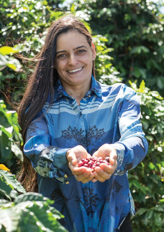 Brazil Cerrado Mineiro Wholesale